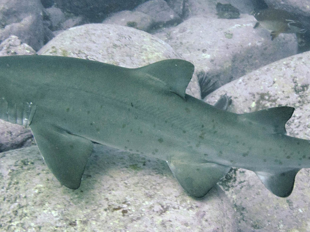 60704ed9-6ef1-4f73-b052-82cdbde0f2c4