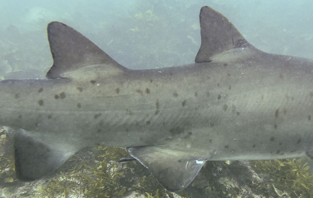 0b0bacea-26c4-4cea-867b-2fe6af004219