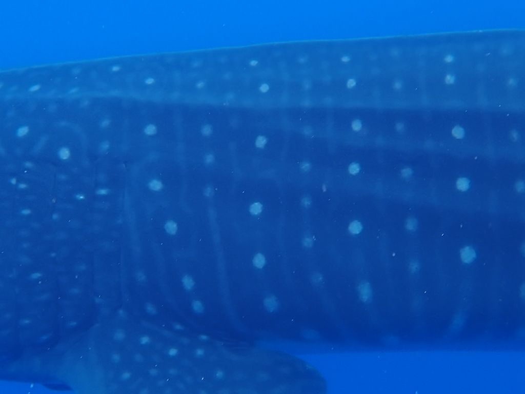 37499efd-8e64-46bd-9d1e-890d70f499e9