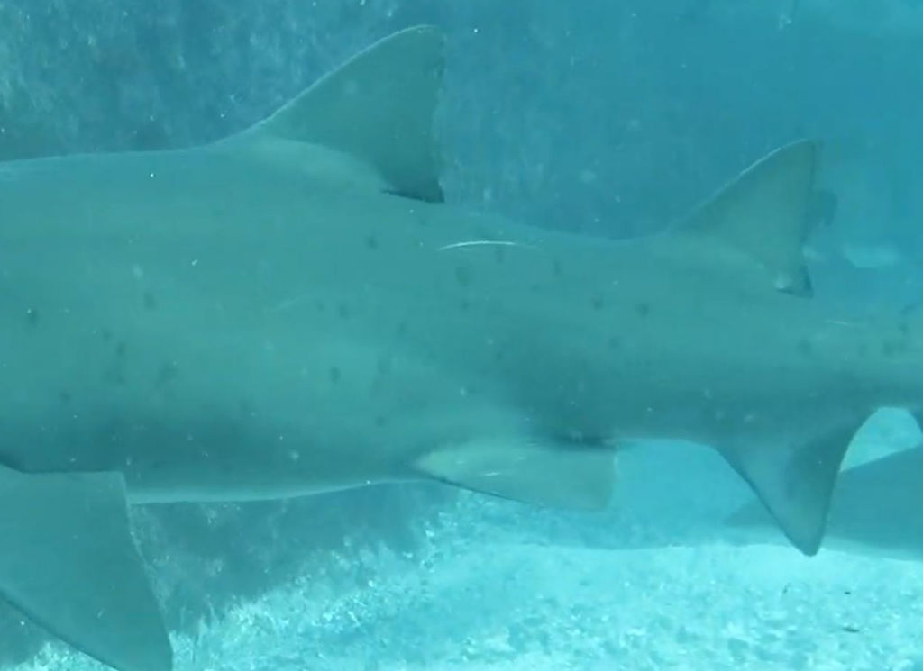 98614489-f961-4efe-b11c-e910d0511173