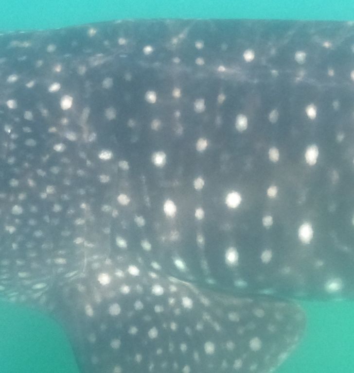 bf6a3db2-6c50-4455-8ccf-8662d3fcfbc3