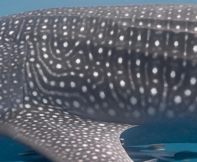 7d73b52e-5e35-4371-86d5-1cf41e285f61