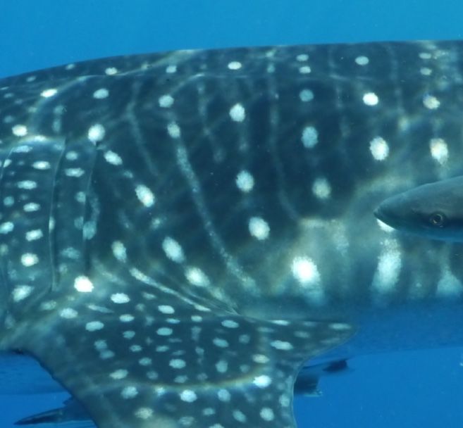 b872aa79-eeed-443e-b934-034bb55dc60c