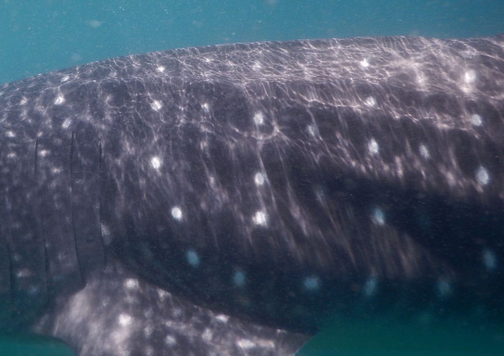 ccffee84-8476-4531-a945-a05bb4d8bf98