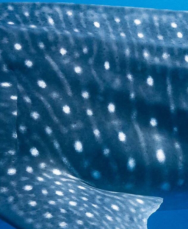 3b8e8505-3f92-40ad-ab43-e1adcd0a2d53