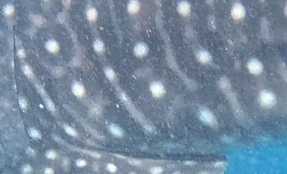 a5847a24-0b4f-4431-a821-d06c35f7b0f4