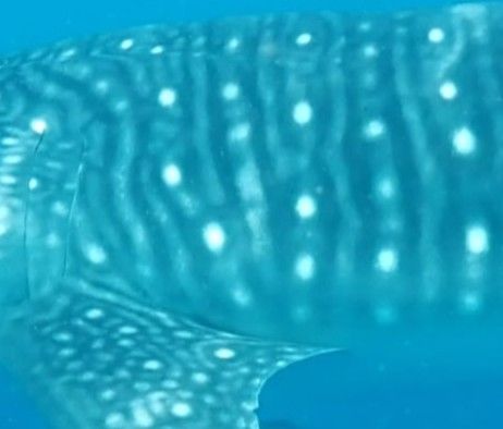 8fc21bed-fbe0-4455-9f6e-2c3e2ce86999