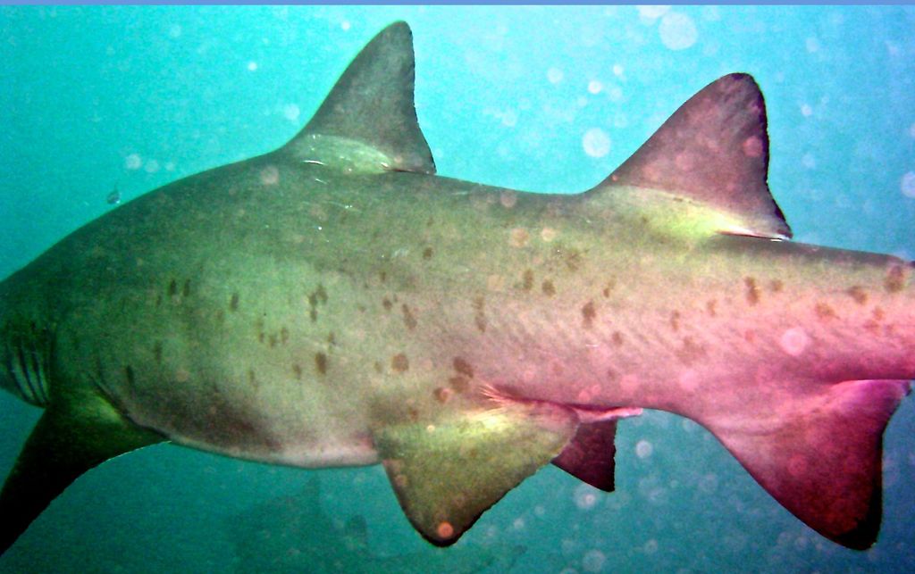 2f4bdc93-13ef-4bec-b27a-8b4236c42970