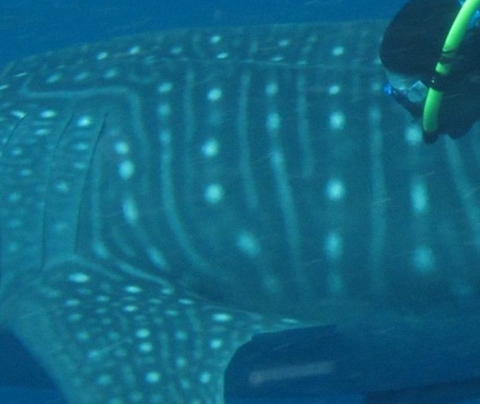 2de18a2d-2690-4c50-a677-632261e84057