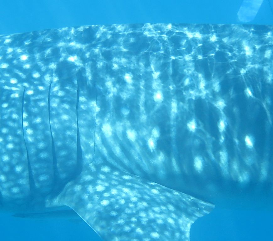 b036acb9-deba-43b8-9115-76e929c22fb7