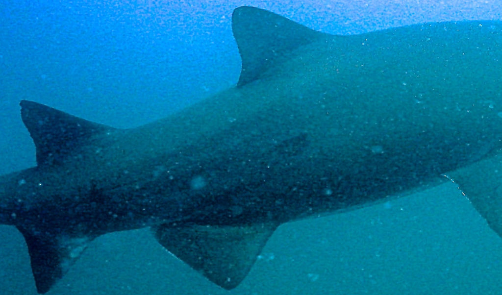 2b111575-0eb8-44b6-98a7-74fca564a6c7