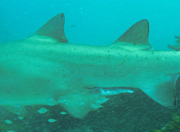 18b85bbf-be81-4706-8ef2-dae993b2042c