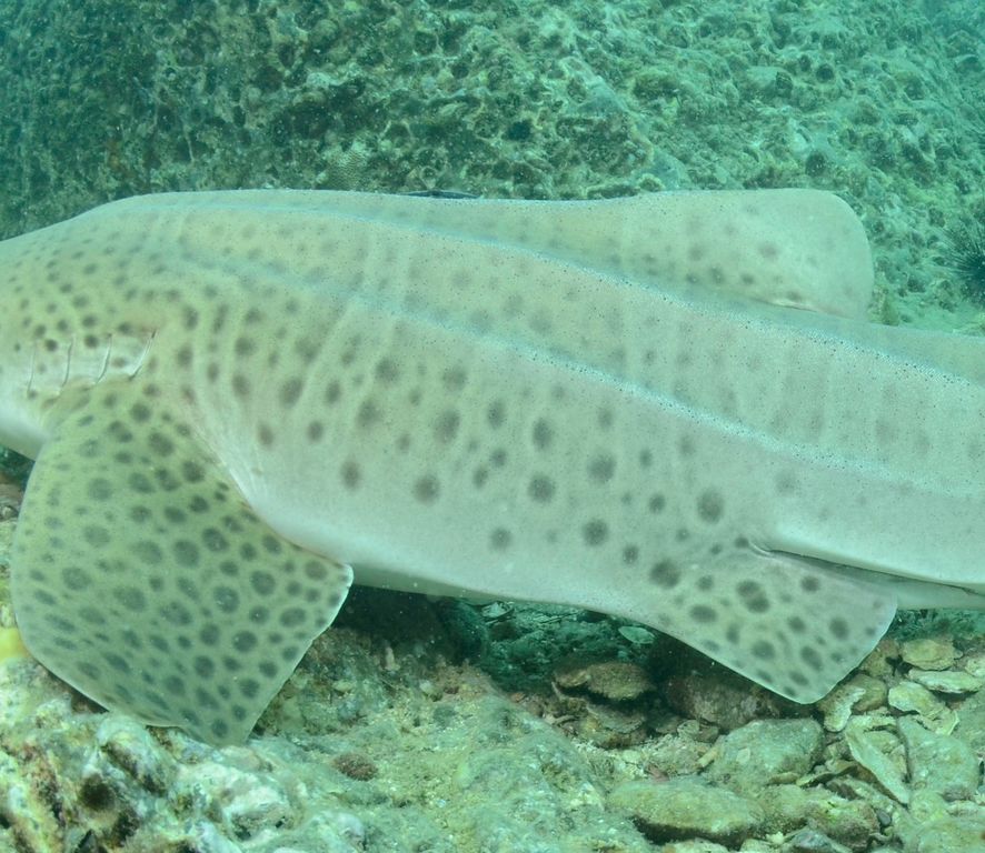 88f4b7c8-cf23-44ad-b3c8-96de2a5d999b