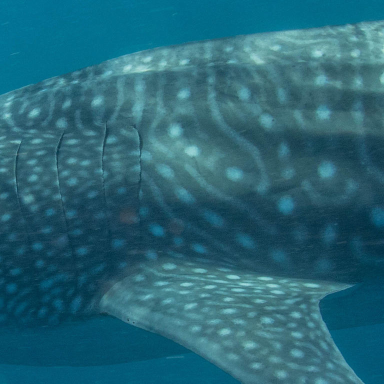 7c6750df-23f4-4757-8f27-54da4e4860a4