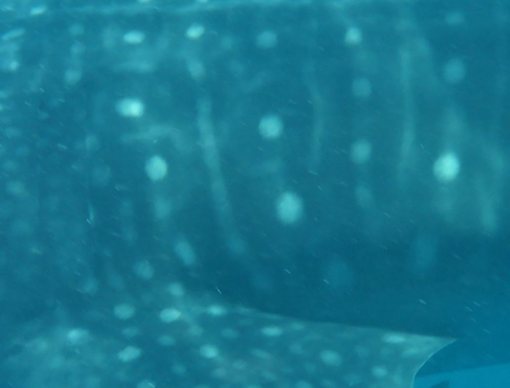 2ebc4712-cb37-4f6e-a713-3b609ce329d3