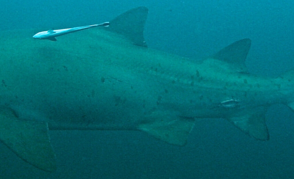 895482ca-a6c6-45c2-b1a0-06699ca1db2b