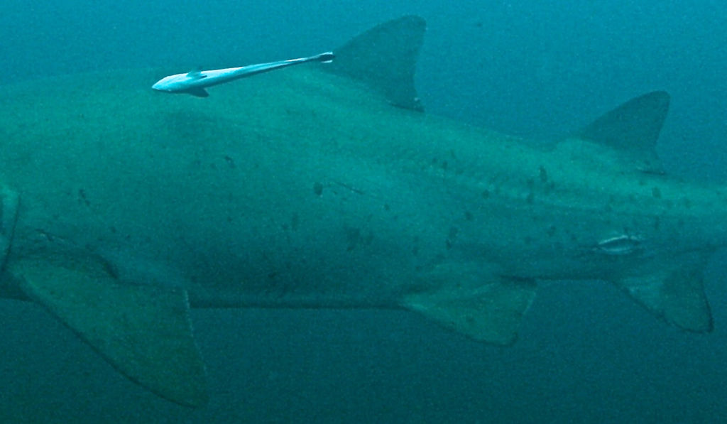 895482ca-a6c6-45c2-b1a0-06699ca1db2b