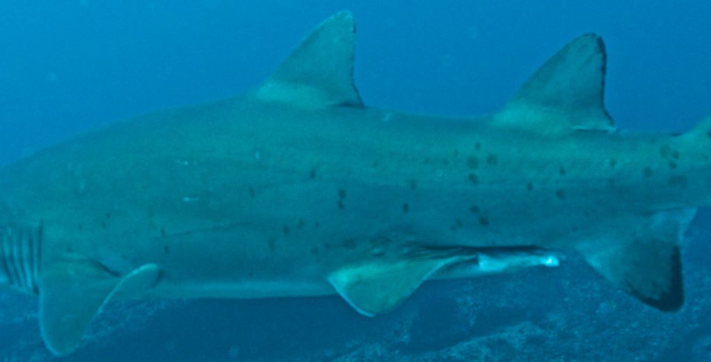 2cccbede-b444-4365-ad59-5226a639933b