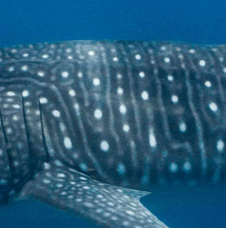 642d4de3-bb3a-4604-8119-d5ba4dc0ed1d