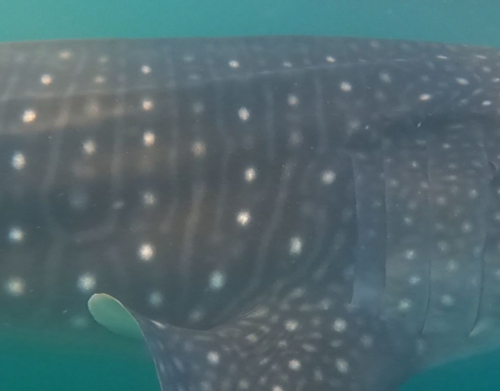 cab7e34a-f2b3-4c53-835e-d8d99de1a17d