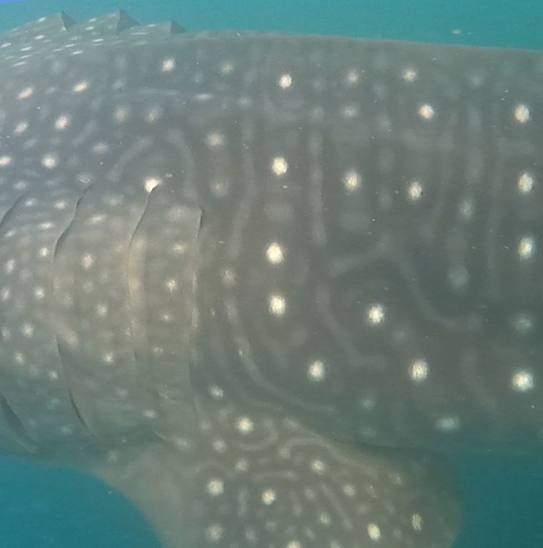 cab7e34a-f2b3-4c53-835e-d8d99de1a17d