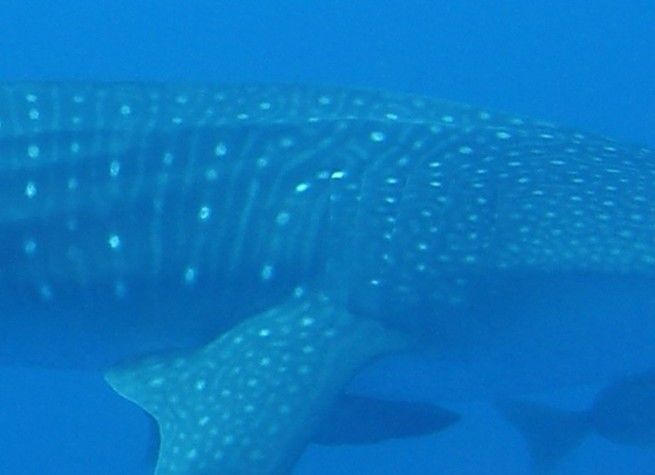 d09765ce-86a0-4e9a-84a2-28fc54a559ee