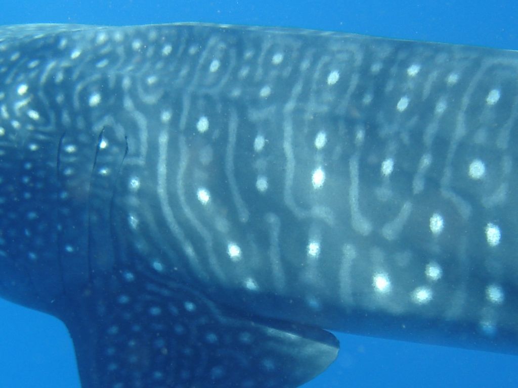 d09765ce-86a0-4e9a-84a2-28fc54a559ee