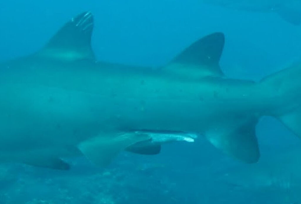 42393d45-6f92-474b-9189-d60ad8456e01