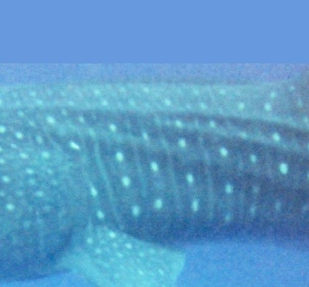 ff6e4c63-74e9-4c17-bb67-be042814bdc8