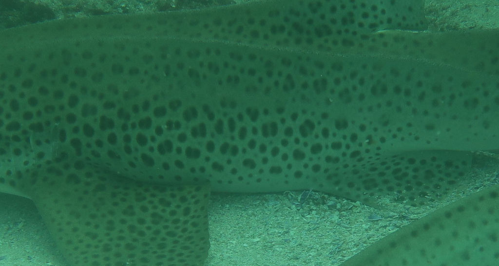 90f32672-7c4e-40b7-8abc-270b8c38fabd