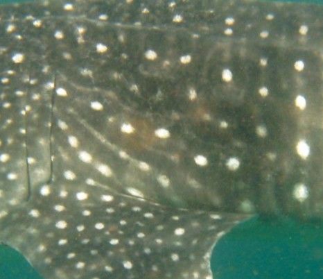 946d76e6-7587-4c32-836b-299cd1d5b044