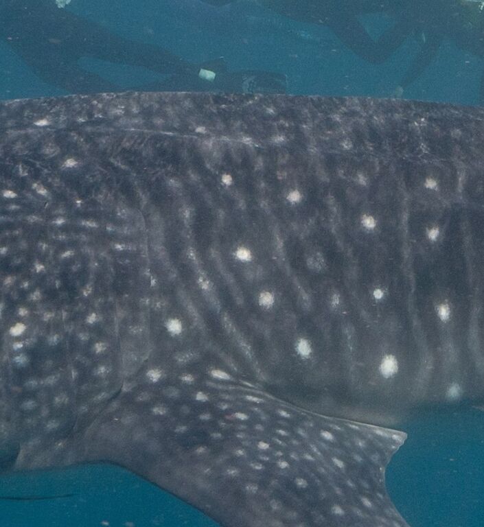 7ad38922-20b6-41d5-b584-5590c9a3fdc0