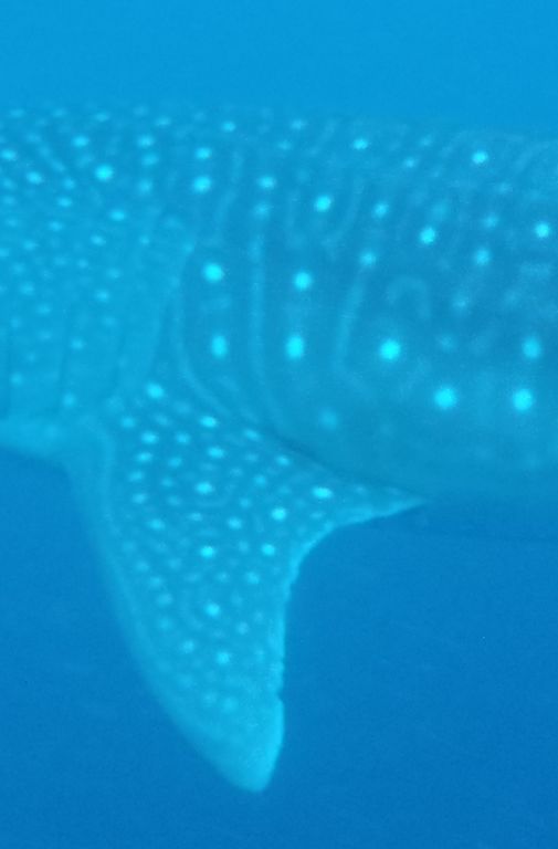 64cd1ad5-4215-4f50-b611-4e88017c460a