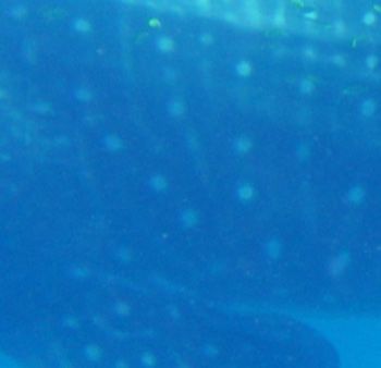 3efc712c-08f8-446c-8c09-3c7e06737a02