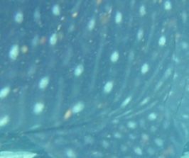 3efc712c-08f8-446c-8c09-3c7e06737a02