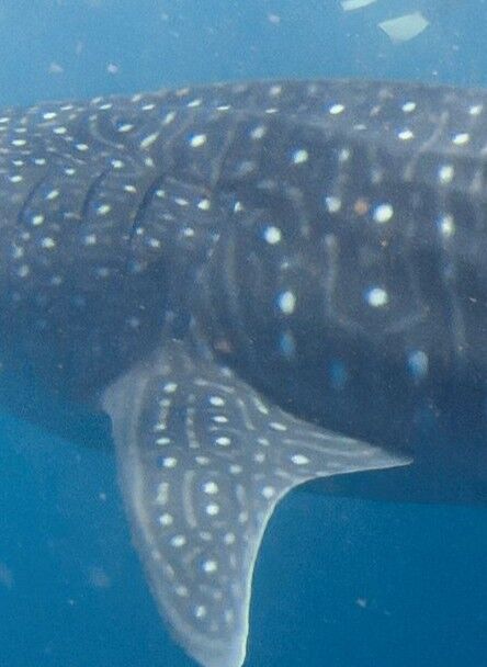 e0db7ed1-fd78-436b-81b8-883ff4f832b9