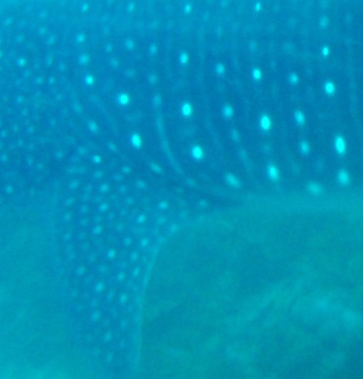 30fc4e9f-0c80-4a6f-8c02-0bbaab14221b