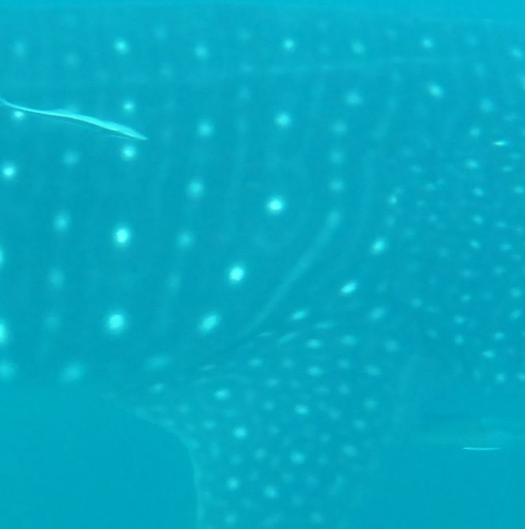 30fc4e9f-0c80-4a6f-8c02-0bbaab14221b