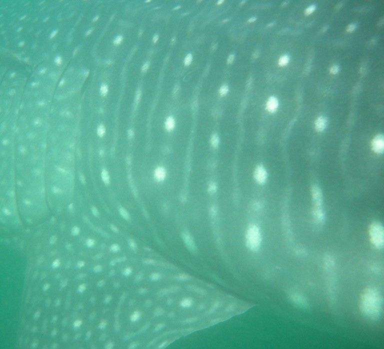 82a1c3ac-b241-4087-bb95-963316a3467d