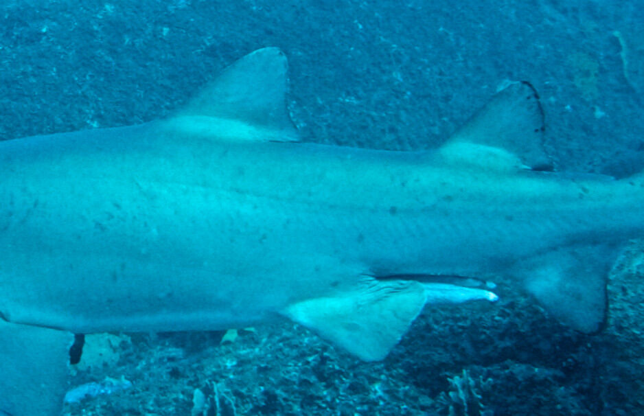 86886874-9df3-4d0c-8ffa-2122220791d1