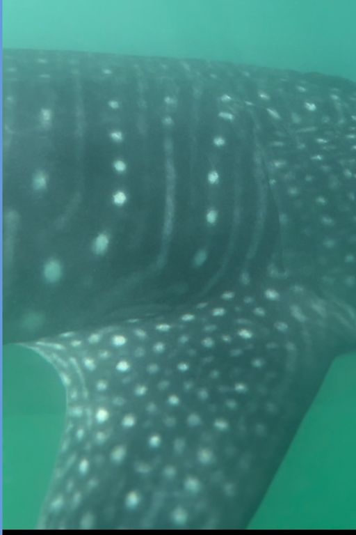 e304d69d-feb8-4453-91fc-4499d3e2c771