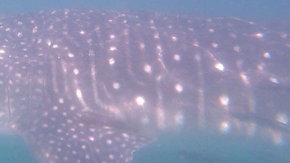 e304d69d-feb8-4453-91fc-4499d3e2c771