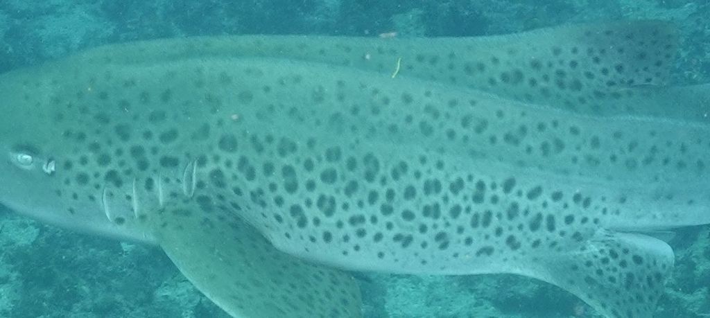 ac914855-ae91-45df-853f-445aab29d1df