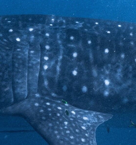 8e49a722-78a0-4201-9c0b-985cddd8f6f3