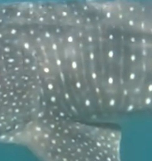 83f96501-b77d-4884-9708-0995d8b8003f