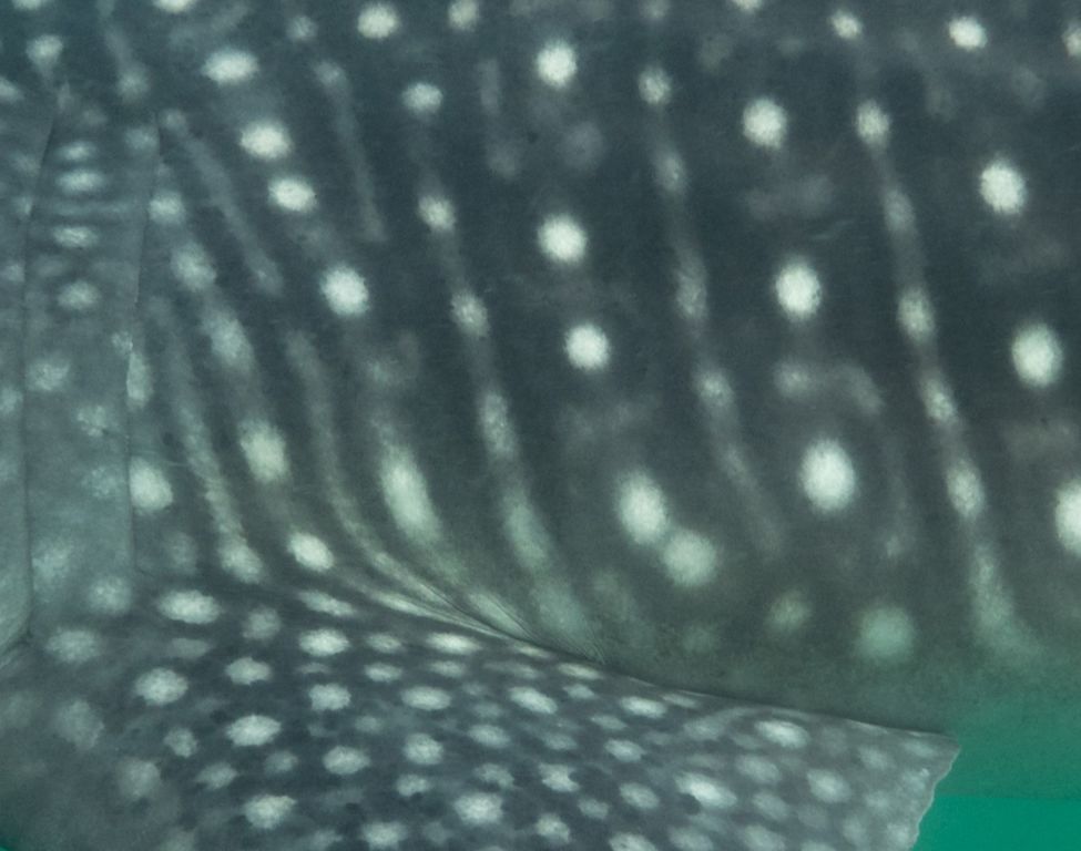 441f748b-e189-4840-b0b8-de5452b745e9