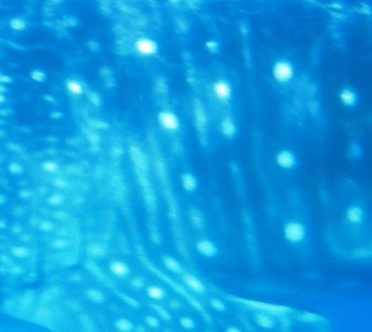 bfb4dbda-2e02-4cd0-8e76-d9851701171a