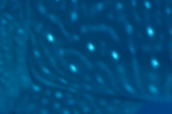 5cb874e3-3d56-4ba5-99ee-dbf231eb6f11