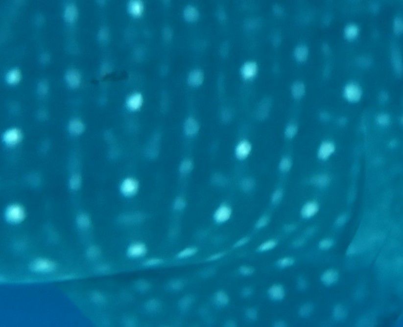 5cb874e3-3d56-4ba5-99ee-dbf231eb6f11