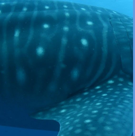 d1a37641-bc7e-483b-8af1-0fd8e4cae383